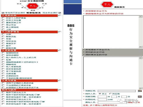 精品ppt 跨国公司安全管理文化分享